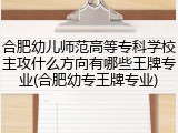 合肥幼儿师范高等专科学校主攻什么方向有哪些王牌专业(合肥幼专王牌专业)