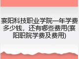 襄阳科技职业学院一年学费多少钱，还有哪些费用(襄阳职院学费及费用)