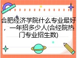 合肥经济学院什么专业最好，一年招多少人(合经院热门专业招生数)