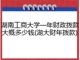 湖南工商大学一年财政拨款大概多少钱(湖大财年拨款)
