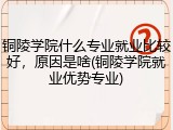 铜陵学院什么专业就业比较好，原因是啥(铜陵学院就业优势专业)