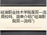 硅湖职业技术学院是双一流高校吗，简单介绍("硅湖职院双一流吗")