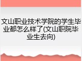 文山职业技术学院的学生毕业都怎么样了(文山职院毕业生去向)