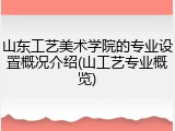 山东工艺美术学院的专业设置概况介绍(山工艺专业概览)