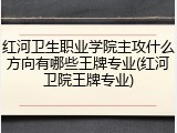 红河卫生职业学院主攻什么方向有哪些王牌专业(红河卫院王牌专业)