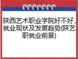 陕西艺术职业学院好不好，就业现状及发展趋势(陕艺职就业前景)