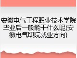 安徽电气工程职业技术学院毕业后一般能干什么呢(安徽电气职院就业方向)
