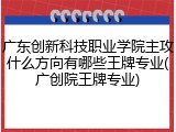 广东创新科技职业学院主攻什么方向有哪些王牌专业(广创院王牌专业)