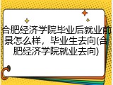 合肥经济学院毕业后就业前景怎么样，毕业生去向(合肥经济学院就业去向)