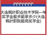 大连枫叶职业技术学院一年奖学金最多能拿多少(大连枫叶职院最高奖学金)