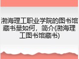 渤海理工职业学院的图书馆藏书量如何，简介(渤海理工图书馆藏书)
