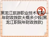 黑龙江旅游职业技术学院一年财政拨款大概多少钱(黑龙江职院年财政拨款)