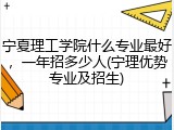 宁夏理工学院什么专业最好，一年招多少人(宁理优势专业及招生)