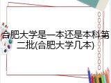 合肥大学是一本还是本科第二批(合肥大学几本)