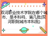 双河职业技术学院在哪个城市，是本科吗，第几批(双河职院城市本科批)