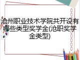 沧州职业技术学院共开设有哪些类型奖学金(沧职奖学金类型)