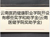 云南医药健康职业学院开设有哪些奖学和助学金(云南医健学院奖助学金)