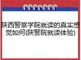 陕西警察学院就读的真实感觉如何(陕警院就读体验)
