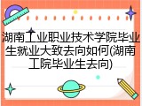湖南工业职业技术学院毕业生就业大致去向如何(湖南工院毕业生去向)