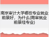 南京审计大学哪些专业就业前景好，为什么(南审就业前景佳专业)