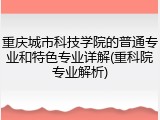 重庆城市科技学院的普通专业和特色专业详解(重科院专业解析)