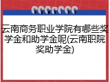 云南商务职业学院有哪些奖学金和助学金呢(云南职院奖助学金)