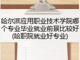 哈尔滨应用职业技术学院哪个专业毕业就业前景比较好(哈职院就业好专业)