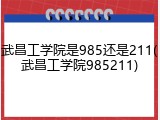 武昌工学院是985还是211(武昌工学院985211)