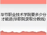 毕节职业技术学院要多少分才能进(毕职院录取分数线)