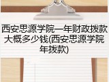 西安思源学院一年财政拨款大概多少钱(西安思源学院年拨款)