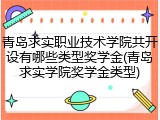 青岛求实职业技术学院共开设有哪些类型奖学金(青岛求实学院奖学金类型)