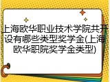 上海欧华职业技术学院共开设有哪些类型奖学金(上海欧华职院奖学金类型)