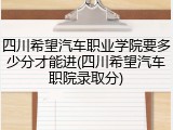 四川希望汽车职业学院要多少分才能进(四川希望汽车职院录取分)