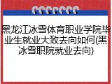 黑龙江冰雪体育职业学院毕业生就业大致去向如何(黑冰雪职院就业去向)