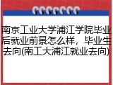 南京工业大学浦江学院毕业后就业前景怎么样，毕业生去向(南工大浦江就业去向)