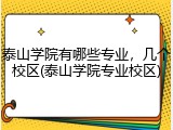 泰山学院有哪些专业，几个校区(泰山学院专业校区)
