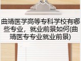 曲靖医学高等专科学校有哪些专业，就业前景如何(曲靖医专专业就业前景)