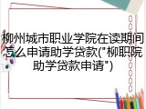 柳州城市职业学院在读期间怎么申请助学贷款("柳职院助学贷款申请")