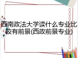 西南政法大学读什么专业比较有前景(西政前景专业)