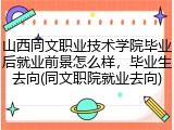 山西同文职业技术学院毕业后就业前景怎么样，毕业生去向(同文职院就业去向)