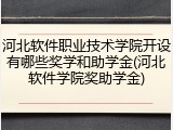 河北软件职业技术学院开设有哪些奖学和助学金(河北软件学院奖助学金)