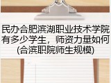 民办合肥滨湖职业技术学院有多少学生，师资力量如何(合滨职院师生规模)
