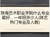 珠海艺术职业学院什么专业最好，一年招多少人(珠艺热门专业及人数)