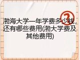 渤海大学一年学费多少钱，还有哪些费用(渤大学费及其他费用)