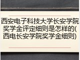 西安电子科技大学长安学院奖学金评定细则是怎样的(西电长安学院奖学金细则)