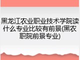 黑龙江农业职业技术学院读什么专业比较有前景(黑农职院前景专业)