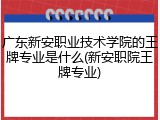 广东新安职业技术学院的王牌专业是什么(新安职院王牌专业)