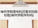 宿州学院是专科还是本科院校呢(宿州学院本科吗)