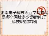 湖南电子科技职业学院官网是哪个网址多少(湖南电子科技职院官网)