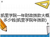 凯里学院一年财政拨款大概多少钱(凯里学院年拨款)